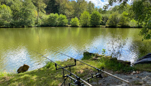 Bears Lake, Carp Fishing France with Accommodation, lake photo 13