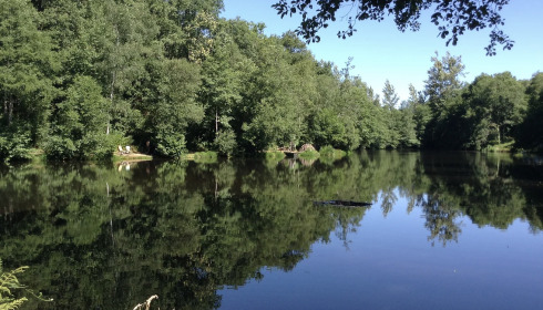 Bears Lake, Carp Fishing France with Accommodation, lake photo 10