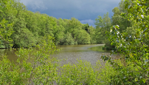 Bears Lake, Carp Fishing France with Accommodation, lake photo 8