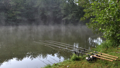 Bears Lake, Carp Fishing France with Accommodation, lake photo 24