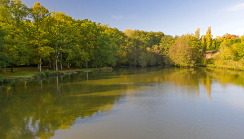 Cailleaux, Easy Carp Lake in France, lake photo 4