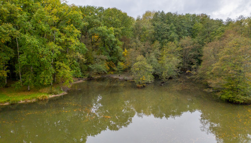 Cailleaux, Easy Carp Lake in France, lake photo 12