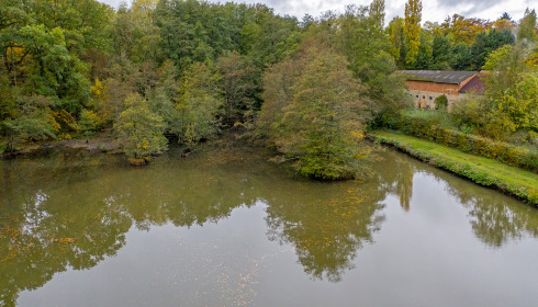 Cailleaux, Easy Carp Lake in France, lake photo 16