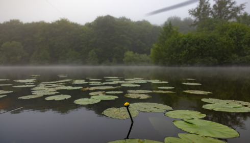 Carp House, Carp Fishing France with Lodge, lake photo 17