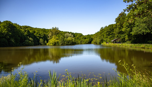 Carp House, Carp Fishing France with Lodge, lake photo 5