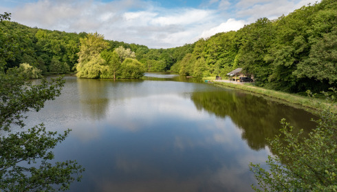 Carp House, Carp Fishing France with Lodge, lake photo 5