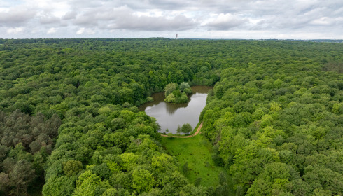 Carp House, Carp Fishing France with Lodge, lake photo 7