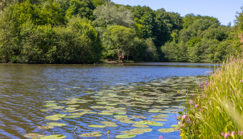 Carp House, Carp Fishing France with Lodge, lake photo 14