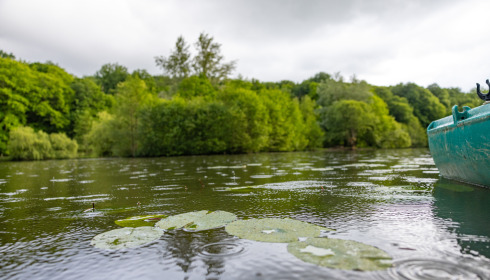 Carp House, Carp Fishing France with Lodge, lake photo 22
