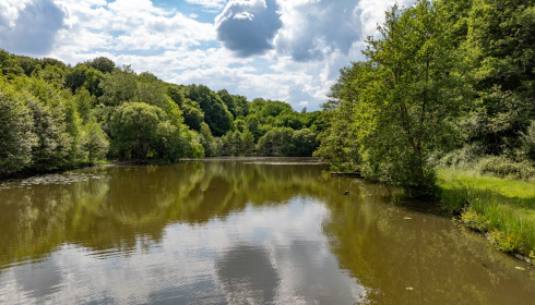 Carp House, Carp Fishing France with Lodge, lake photo 14