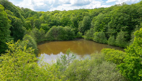 Carp House, Carp Fishing France with Lodge, lake photo 23