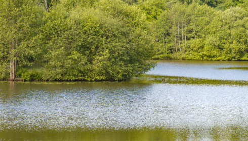 Carp House, Carp Fishing France with Lodge, lake photo 24