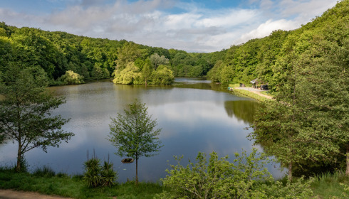 Carp House, Carp Fishing France with Lodge, lake photo 11