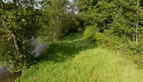 Carp House, Carp Fishing France with Lodge, lake photo 26