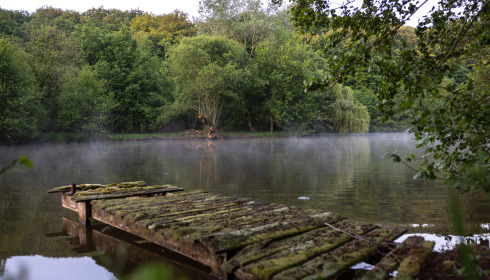 Carp House, Carp Fishing France with Lodge, lake photo 16