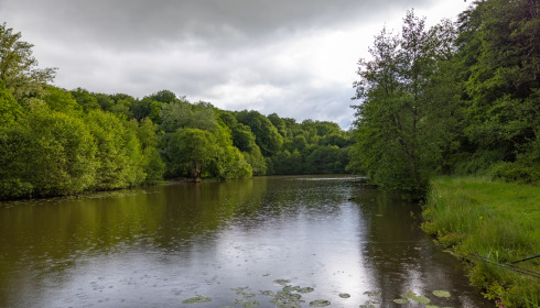 Carp House, Carp Fishing France with Lodge, lake photo 3