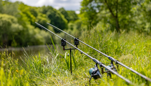 Carp House, Carp Fishing France with Lodge, lake photo 27