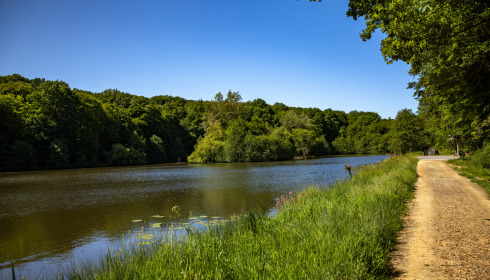 Carp House, Carp Fishing France with Lodge, lake photo 21