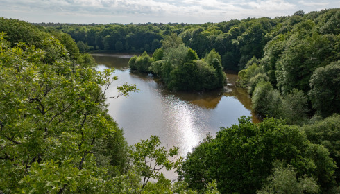 Carp House, Carp Fishing France with Lodge, lake photo 1