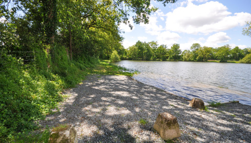 Carrouge, Social Carp Fishing Holidays, Swim 4