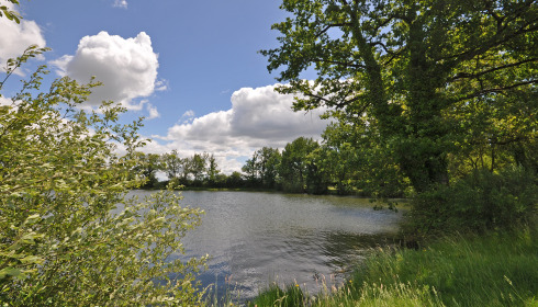 Carrouge, Social Carp Fishing Holidays, lake photo 11