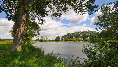 Carrouge, Social Carp Fishing Holidays, lake photo 10