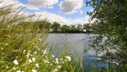 Carrouge, Social Carp Fishing Holidays, lake photo 9