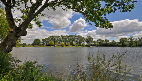 Carrouge, Social Carp Fishing Holidays, lake photo 8