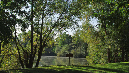 Cerises, Carp Lake Close to Calais, lake photo 2