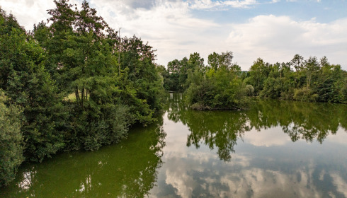 Cerises, Carp Lake Close to Calais, lake photo 20