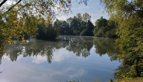Cerises, Carp Lake Close to Calais, lake photo 16