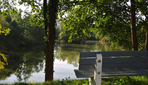 Cerises, Carp Lake Close to Calais, lake photo 8
