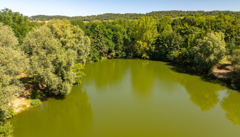 Cerises, Carp Lake Close to Calais, lake photo 15