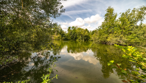 Cerises, Carp Lake Close to Calais, lake photo 23