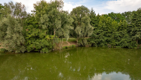 Cerises, Carp Lake Close to Calais, lake photo 5