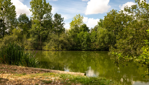 Cerises, Carp Lake Close to Calais, lake photo 32