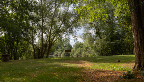 Cerises, Carp Lake Close to Calais, lake photo 7