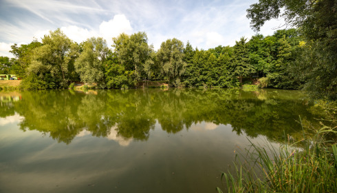 Cerises, Carp Lake Close to Calais, lake photo 29