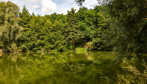 Cerises, Carp Lake Close to Calais, lake photo 7