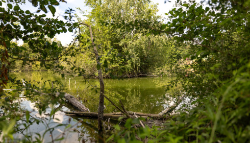 Cerises, Carp Lake Close to Calais, lake photo 13