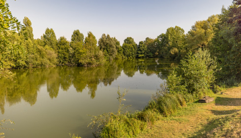 Cerises, Carp Lake Close to Calais, lake photo 6