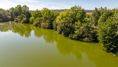 Cerises, Carp Lake Close to Calais, lake photo 12