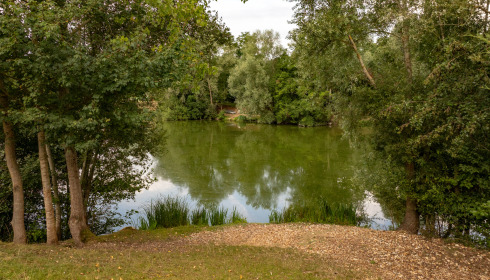 Cerises, Carp Lake Close to Calais, lake photo 21