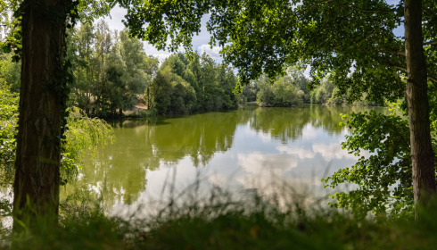 Cerises, Carp Lake Close to Calais, lake photo 10