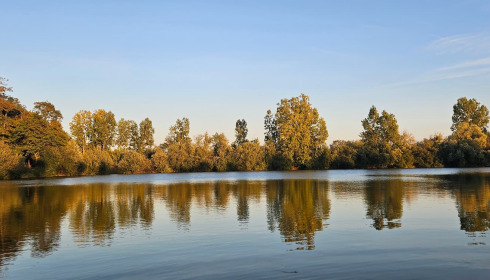 Duquesne, Carp Lake in Northern France, lake photo 11