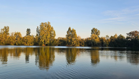 Duquesne, Carp Lake in Northern France, lake photo 15