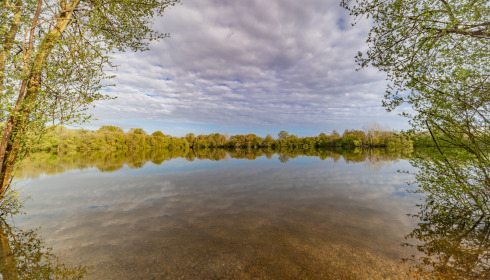 Emeraude, Big Carp in France, View from Swim 5