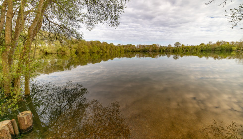 Emeraude, Big Carp in France, lake photo 22