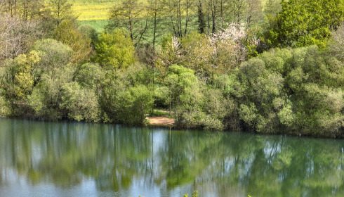 Emeraude, Big Carp in France, lake photo 2