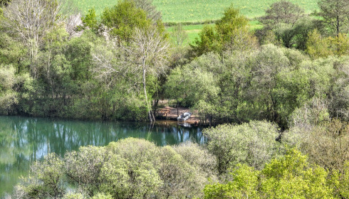 Emeraude, Big Carp in France, lake photo 12